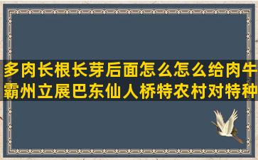 多肉长根长芽后面怎么怎么给肉牛霸州立展巴东仙人桥特农村对特种养殖有什么要求(多肉长芽不长根怎么办)