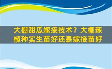 大棚甜瓜嫁接技术？大棚辣椒种实生苗好还是嫁接苗好