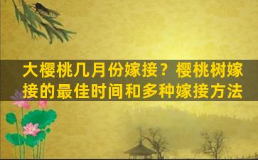 大樱桃几月份嫁接？樱桃树嫁接的最佳时间和多种嫁接方法