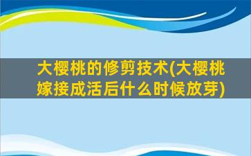 大樱桃的修剪技术(大樱桃嫁接成活后什么时候放芽)