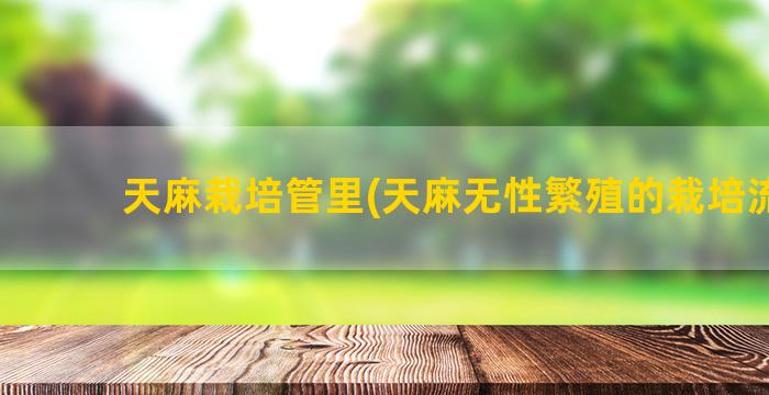 天麻栽培管里(天麻无性繁殖的栽培流程)