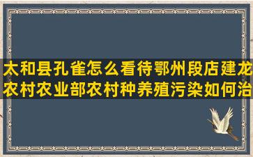 太和县孔雀怎么看待鄂州段店建龙农村农业部农村种养殖污染如何治理(孔雀蛋怎么看受精没有)