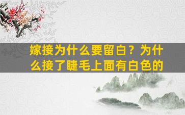 嫁接为什么要留白？为什么接了睫毛上面有白色的