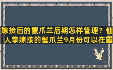 嫁接后的蟹爪兰后期怎样管理？仙人掌嫁接的蟹爪兰9月份可以在露天养吗