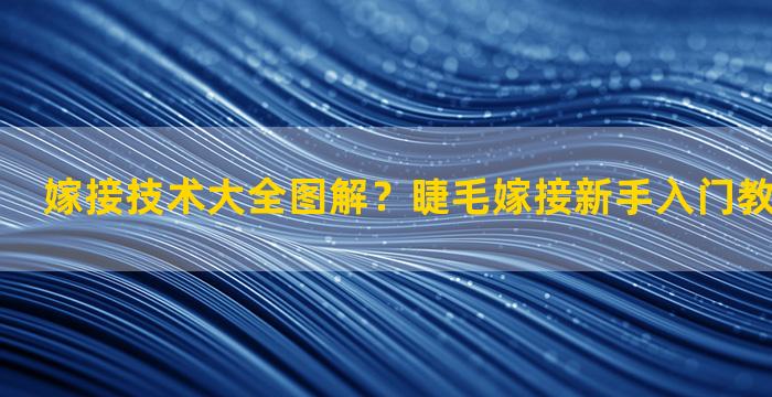 嫁接技术大全图解？睫毛嫁接新手入门教程手怎么放