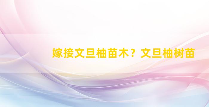 嫁接文旦柚苗木？文旦柚树苗