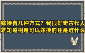 嫁接有几种方式？我很好奇古代人就知道树是可以嫁接的还是谁什么时候发现树可以嫁接