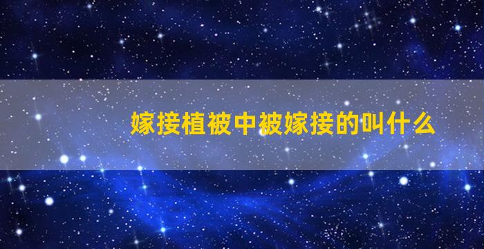 嫁接植被中被嫁接的叫什么