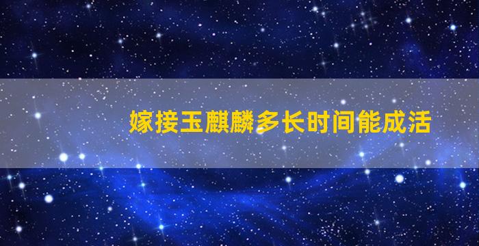 嫁接玉麒麟多长时间能成活