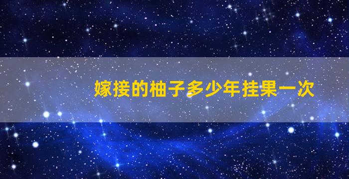 嫁接的柚子多少年挂果一次