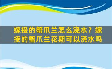 嫁接的蟹爪兰怎么浇水？嫁接的蟹爪兰花期可以浇水吗