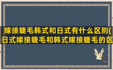 嫁接睫毛韩式和日式有什么区别(日式嫁接睫毛和韩式嫁接睫毛的区别)