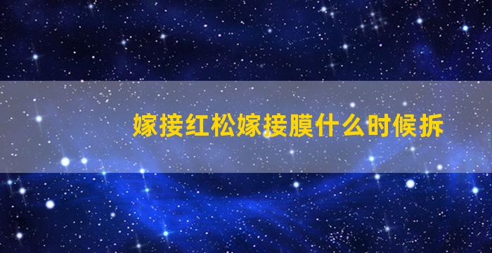 嫁接红松嫁接膜什么时候拆