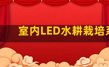 室内LED水耕栽培系统