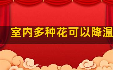 室内多种花可以降温吗吗