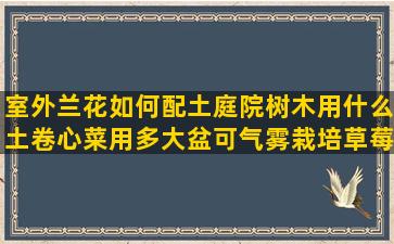 室外兰花如何配土庭院树木用什么土卷心菜用多大盆可气雾栽培草莓柱子大小(兰花如何配土视频)