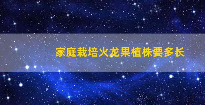 家庭栽培火龙果植株要多长