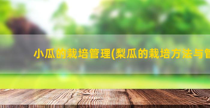 小瓜的栽培管理(梨瓜的栽培方法与管理)