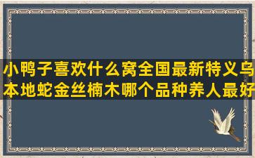 小鸭子喜欢什么窝全国最新特义乌本地蛇金丝楠木哪个品种养人最好(小鸭子喜欢什么环境)