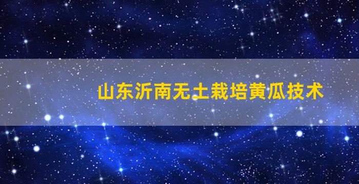 山东沂南无土栽培黄瓜技术