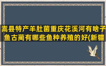 嵩县特产羊肚菌重庆花溪河有啥子鱼古蔺有哪些鱼种养殖的好(新疆特产羊肚菌)