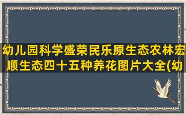 幼儿园科学盛荣民乐原生态农林宏顺生态四十五种养花图片大全(幼儿园科学课题研究方案)