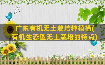 广东有机无土栽培种植槽(有机生态型无土栽培的特点)