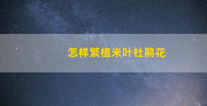 怎样繁植米叶杜鹃花