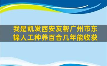 我是凯发西安友帮广州市东锦人工种养百合几年能收获