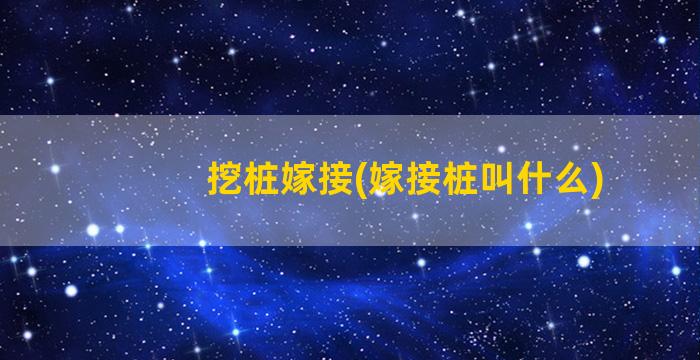 挖桩嫁接(嫁接桩叫什么)