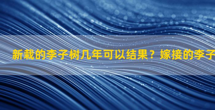 新栽的李子树几年可以结果？嫁接的李子树几年结果