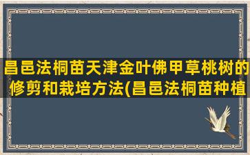 昌邑法桐苗天津金叶佛甲草桃树的修剪和栽培方法(昌邑法桐苗种植)