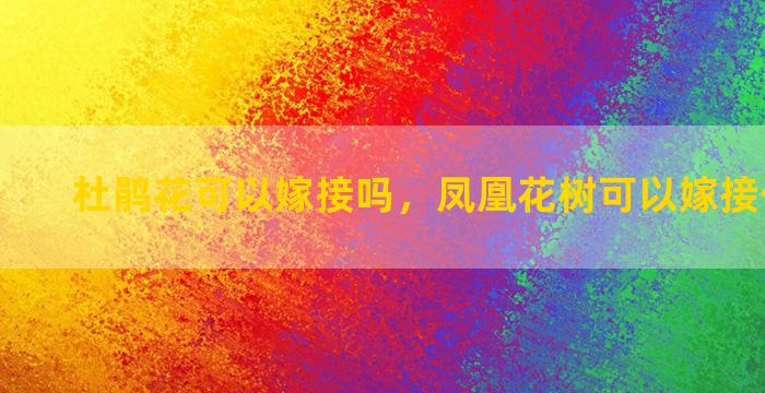 杜鹃花可以嫁接吗，凤凰花树可以嫁接什么果树