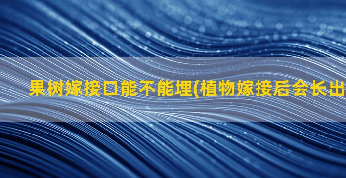 果树嫁接口能不能埋(植物嫁接后会长出什么果实)