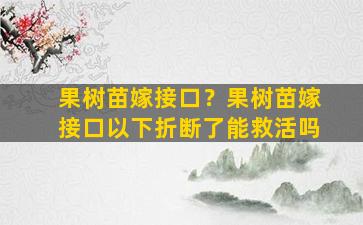 果树苗嫁接口？果树苗嫁接口以下折断了能救活吗