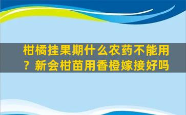 柑橘挂果期什么农药不能用？新会柑苗用香橙嫁接好吗