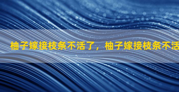 柚子嫁接枝条不活了，柚子嫁接枝条不活了怎么回事