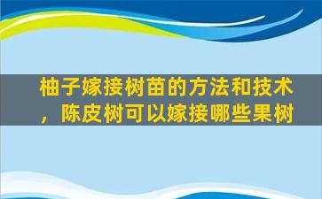 柚子嫁接树苗的方法和技术，陈皮树可以嫁接哪些果树