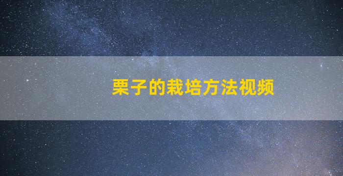 栗子的栽培方法视频