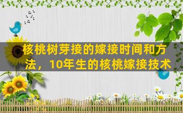 核桃树芽接的嫁接时间和方法，10年生的核桃嫁接技术