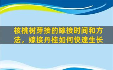 核桃树芽接的嫁接时间和方法，嫁接丹桂如何快速生长