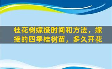 桂花树嫁接时间和方法，嫁接的四季桂树苗，多久开花