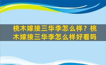 桃木嫁接三华李怎么样？桃木嫁接三华李怎么样好看吗