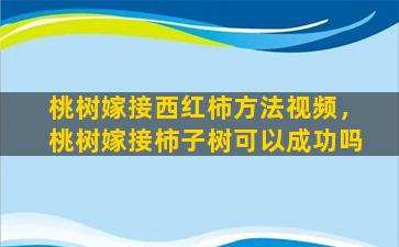 桃树嫁接西红柿方法视频，桃树嫁接柿子树可以成功吗