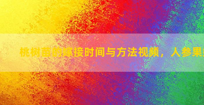 桃树苗的嫁接时间与方法视频，人参果嫁接方法