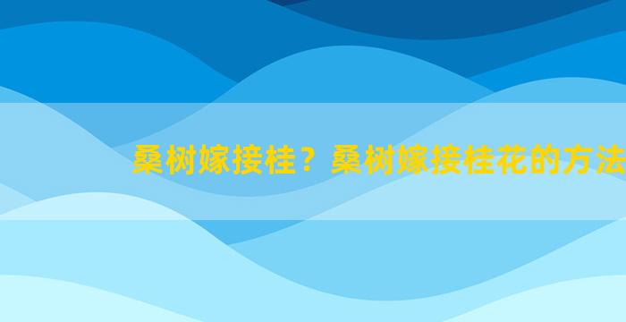 桑树嫁接桂？桑树嫁接桂花的方法