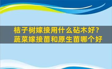 桔子树嫁接用什么砧木好？蔬菜嫁接苗和原生苗哪个好