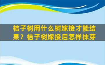 桔子树用什么树嫁接才能结果？桔子树嫁接后怎样抹芽