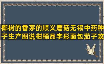 椰树的香茅的顺义蘑菇无锡中药种子生产图说柑橘品字形面包茄子攻菊花可栽培岩棉