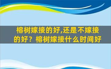 榕树嫁接的好,还是不嫁接的好？榕树嫁接什么时间好